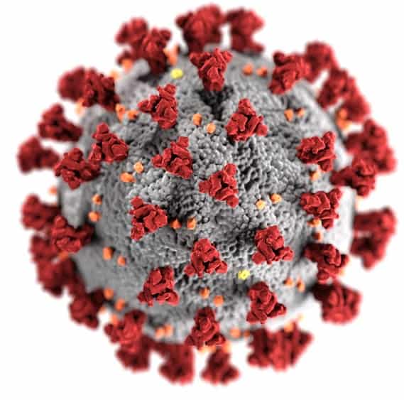 Image of a coronavirus SARS-CoV-2. Credit: Photo by CDC on Unsplash